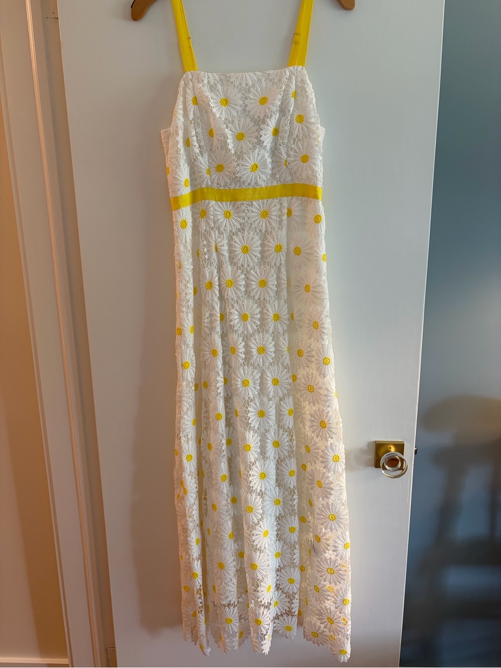 NWOT, Boston Proper, Size 8, Daisy Lace Maxi Dress in White & Yellow - Picture 7 of 16